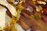 Free-Standing, Colorful Polished Mookaite Jasper - Australia #353396-2